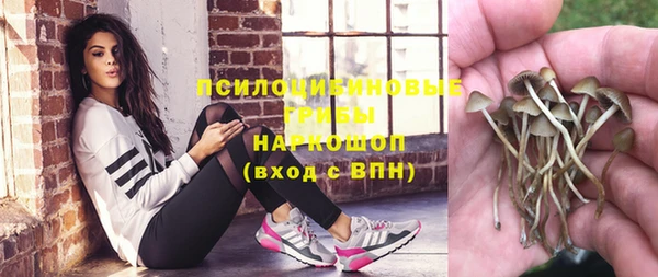 спиды Вязьма