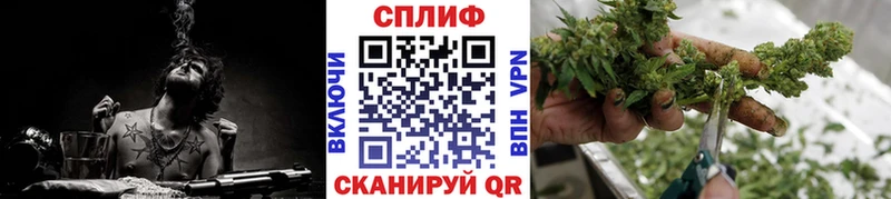 Бошки Шишки гибрид  купить  сайты  Льгов 
